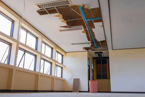 Best 24/7 water damage repair  in Phoenix, IL
