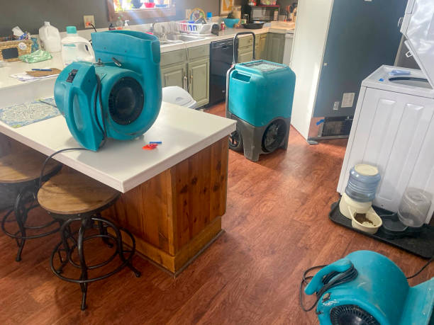 Best Carpet water damage restoration  in Phoenix, IL