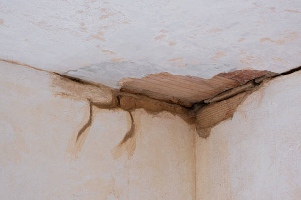 Local water damage restoration in Phoenix, IL