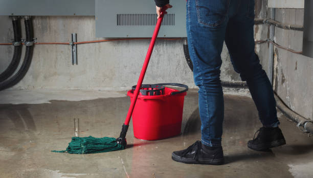 Best 24/7 water damage repair  in Phoenix, IL