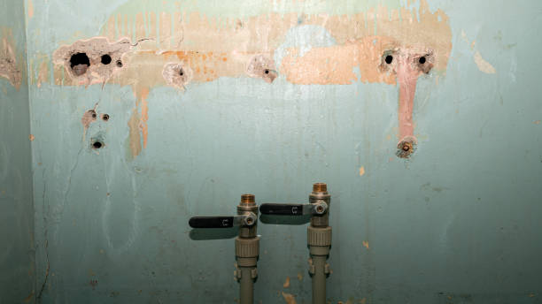 Best Water damage repair service  in Phoenix, IL